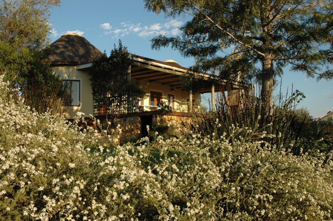 Forest Hills Κνύσνα Εξωτερικό φωτογραφία